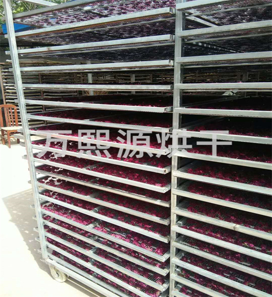 微信圖片_2018022520042135 - 副本.jpg