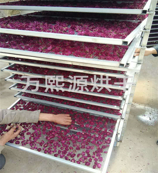 金花葵烘干機(jī)