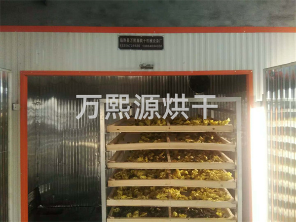 金花葵烘干機(jī)