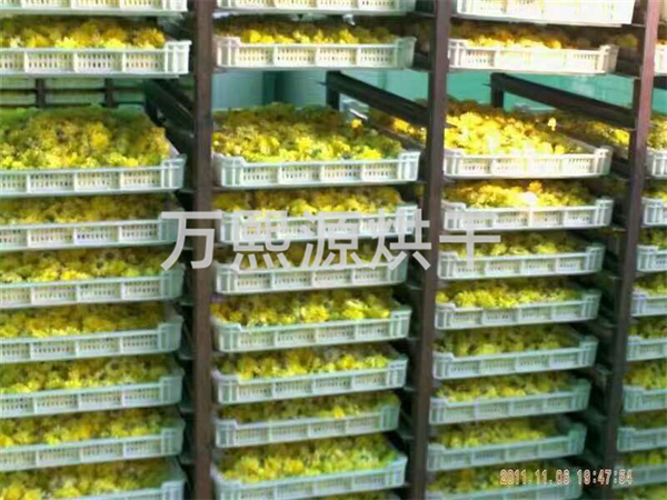 菊花烘干機