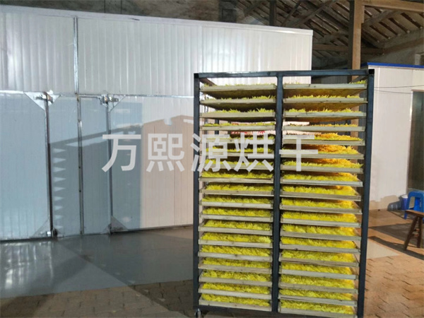 菊花烘干機